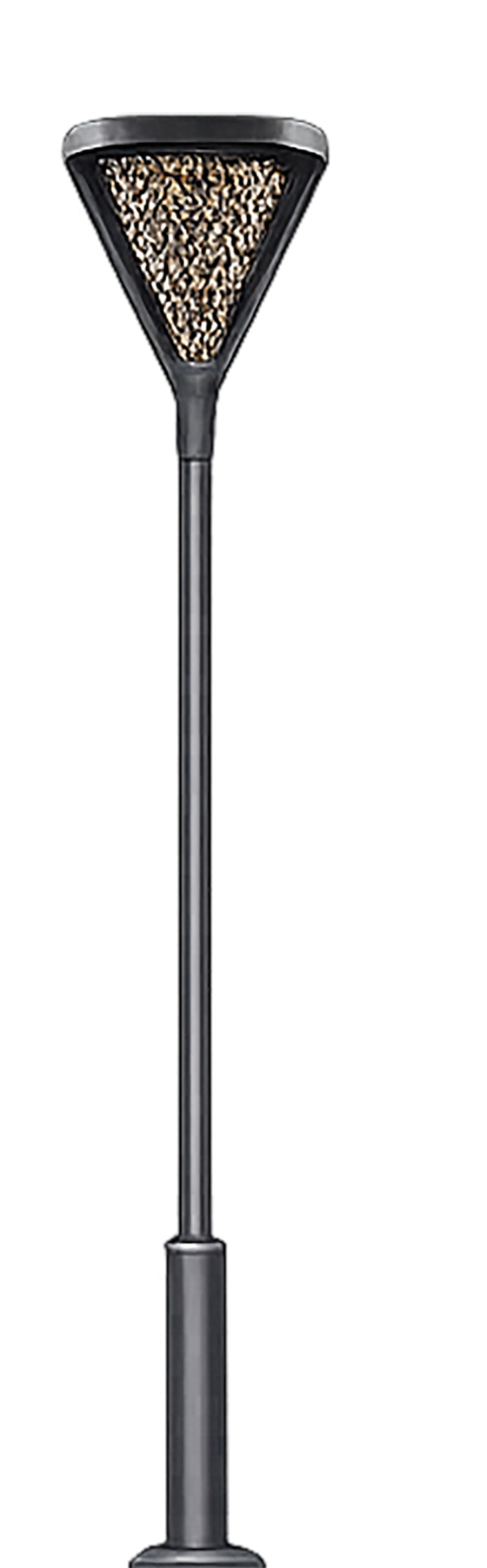 FLAIR (Pole)